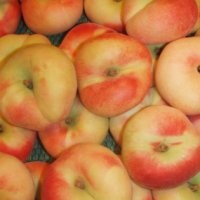 Harum Legit Donut Peach